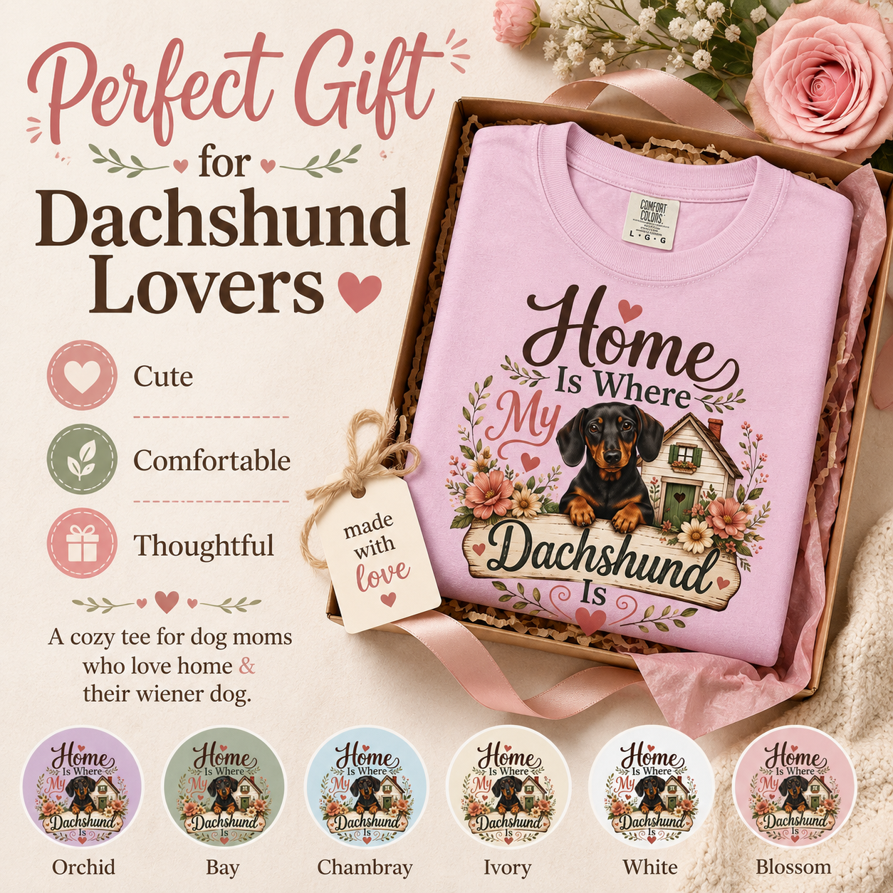 Dachshund