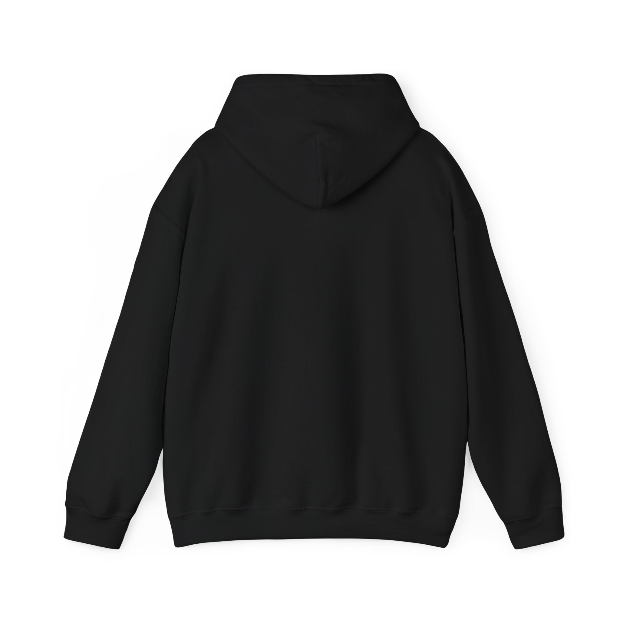 No Worries Trail Got Me Hooded Sweatshirt