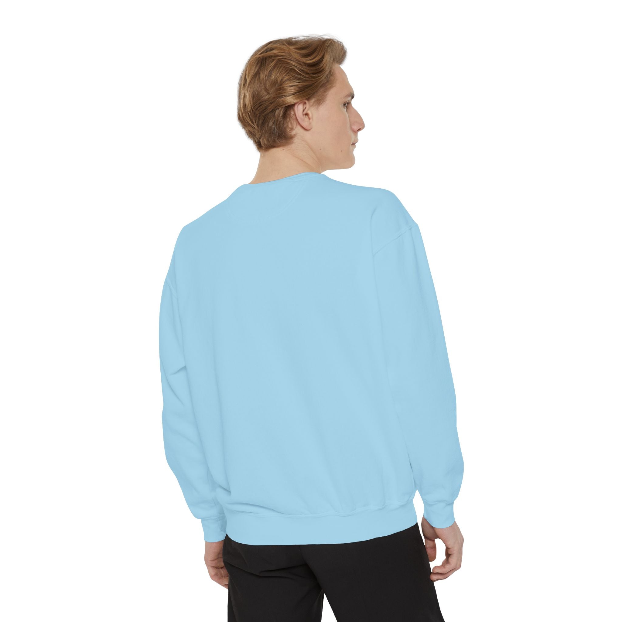 Trumpet Vine Hummingbird Sweatshirt