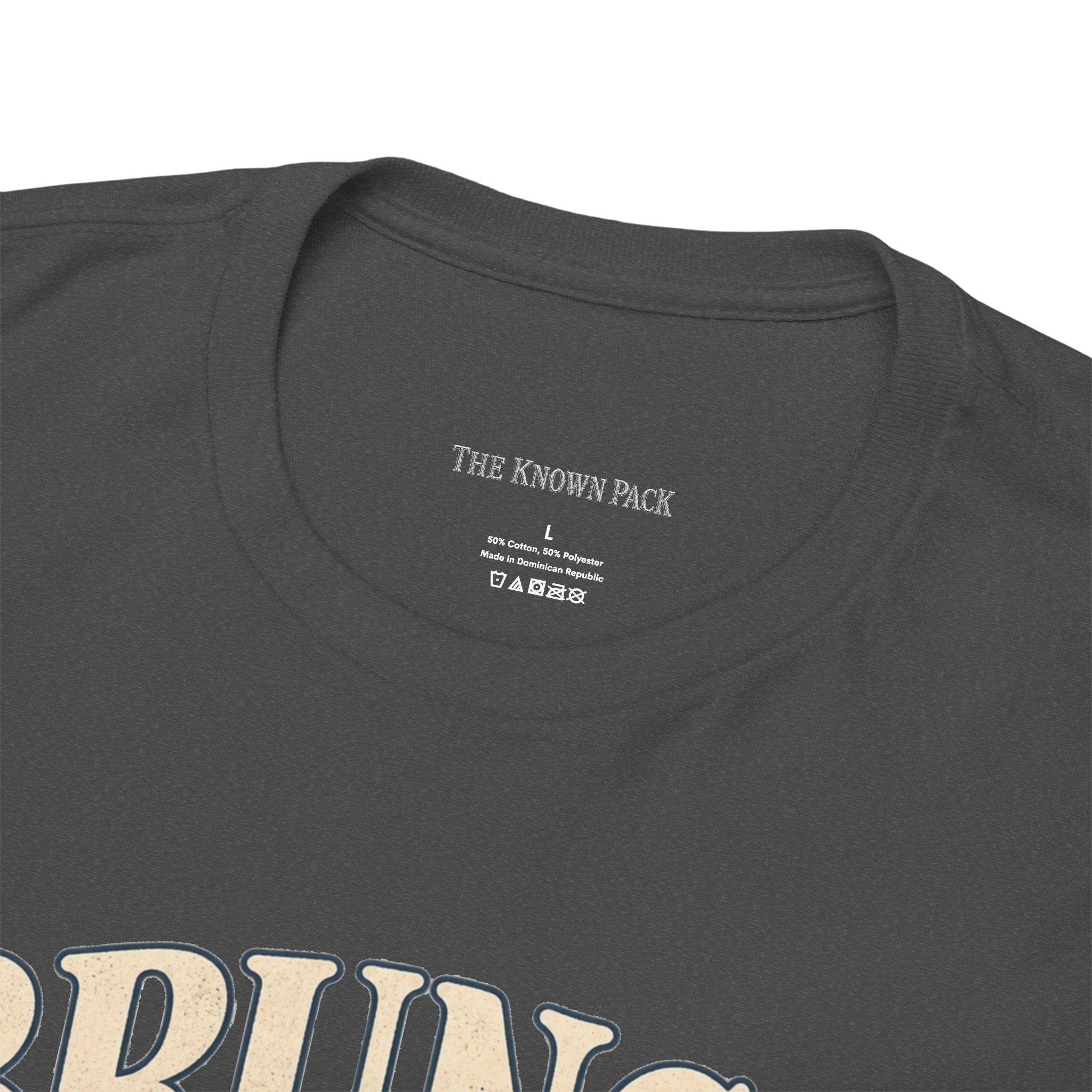 Brunch Is the Plan Funny Brunch T-Shirt