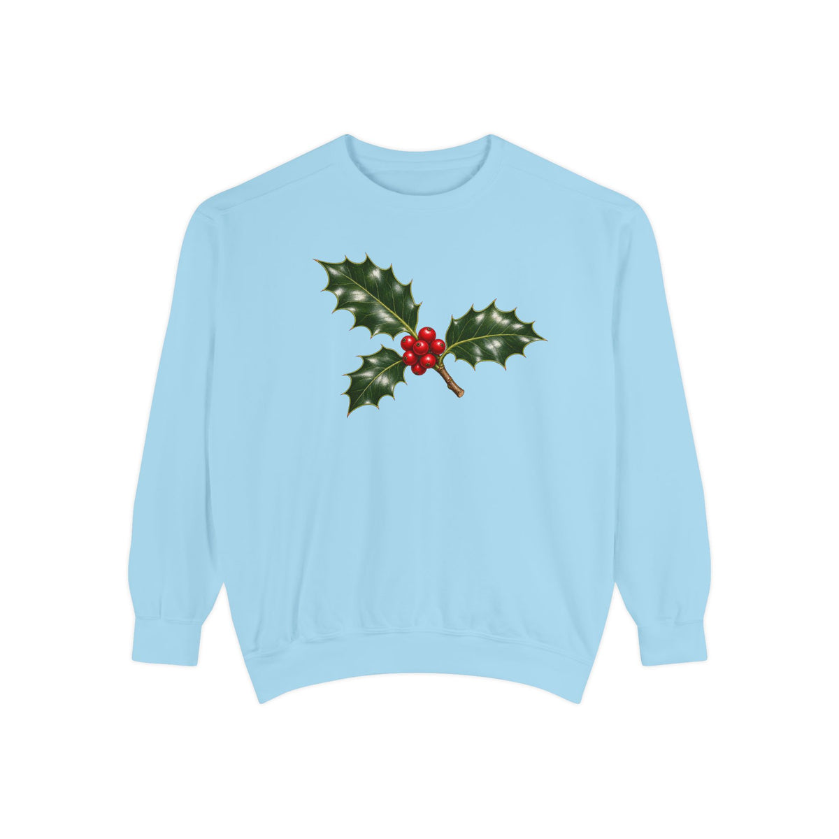 Holly sweatshirt in Chambray, front view