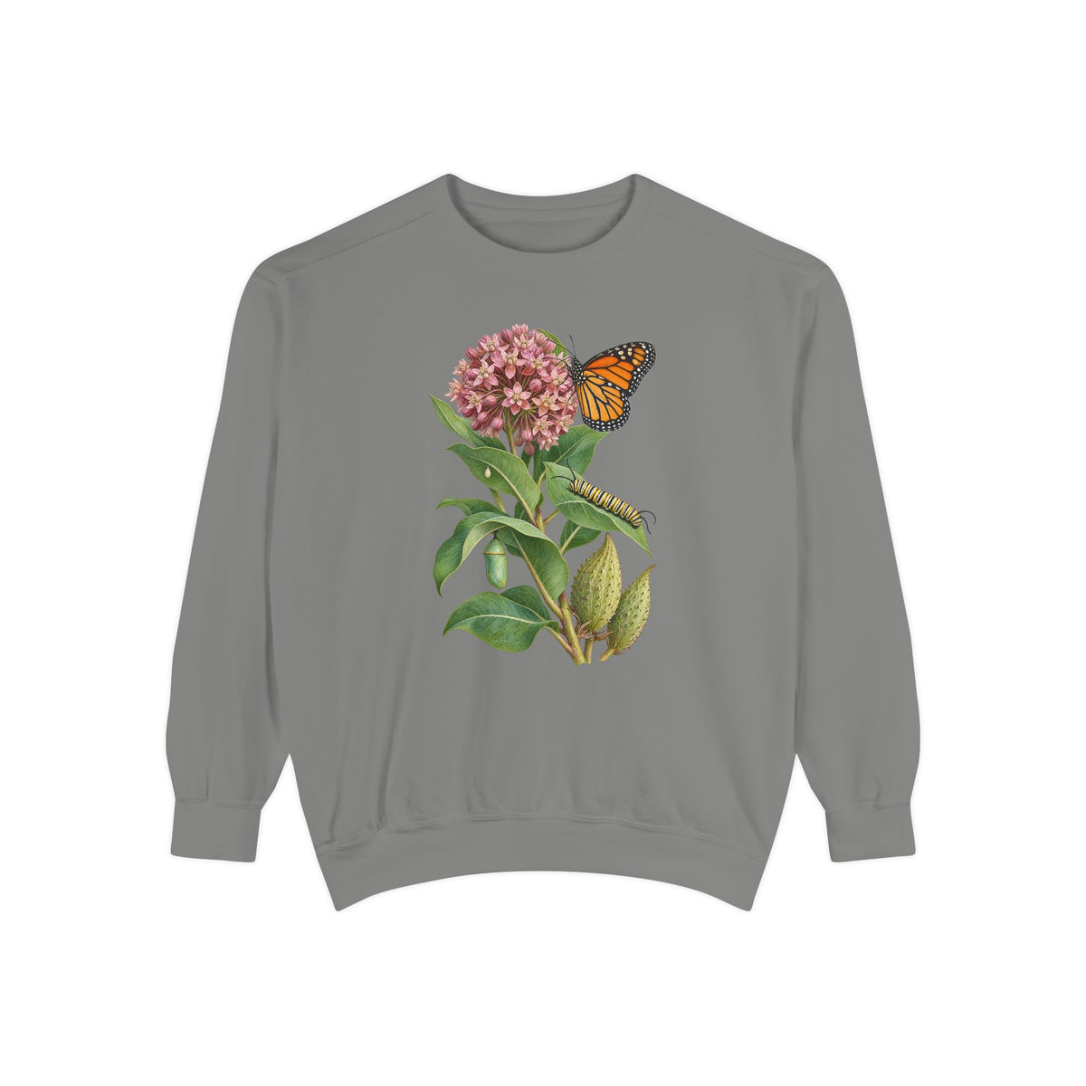 Milkweed and monarch life cycle sweatshirt in Grey, front view