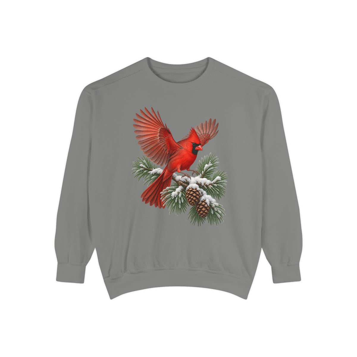 Cardinal in flight sweatshirt in Grey, front view