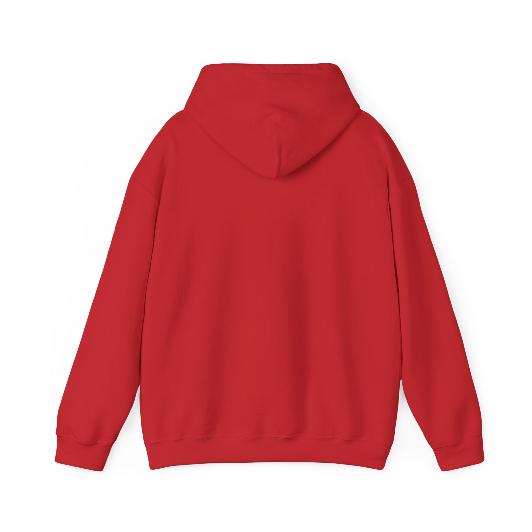 Sunlight Changes Everything Hooded Sweatshirt