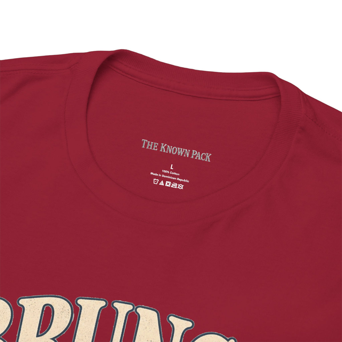 Brunch Is the Plan Funny Brunch T-Shirt