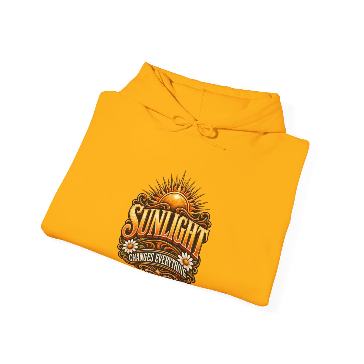 Sunlight Changes Everything Hooded Sweatshirt