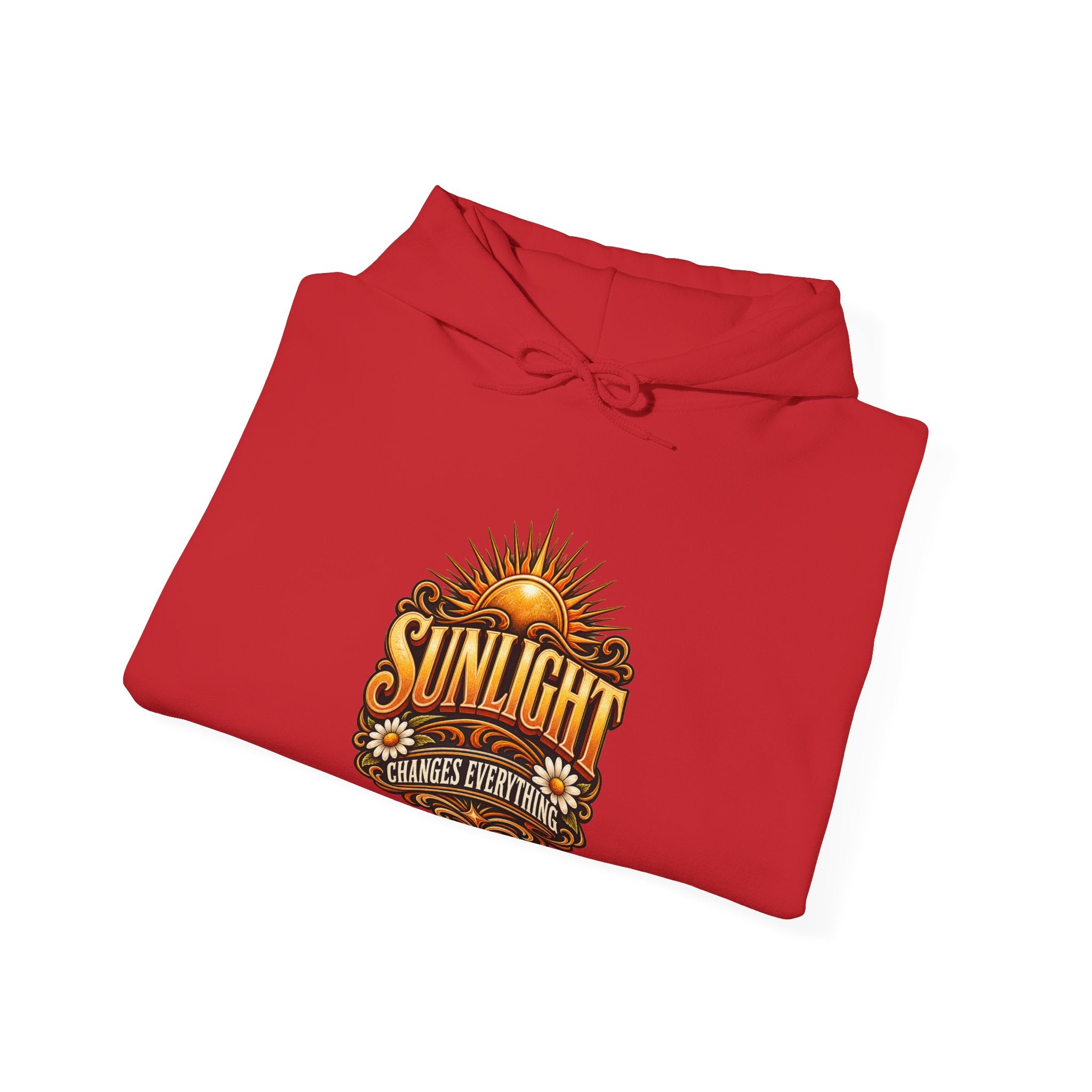 Sunlight Changes Everything Hooded Sweatshirt
