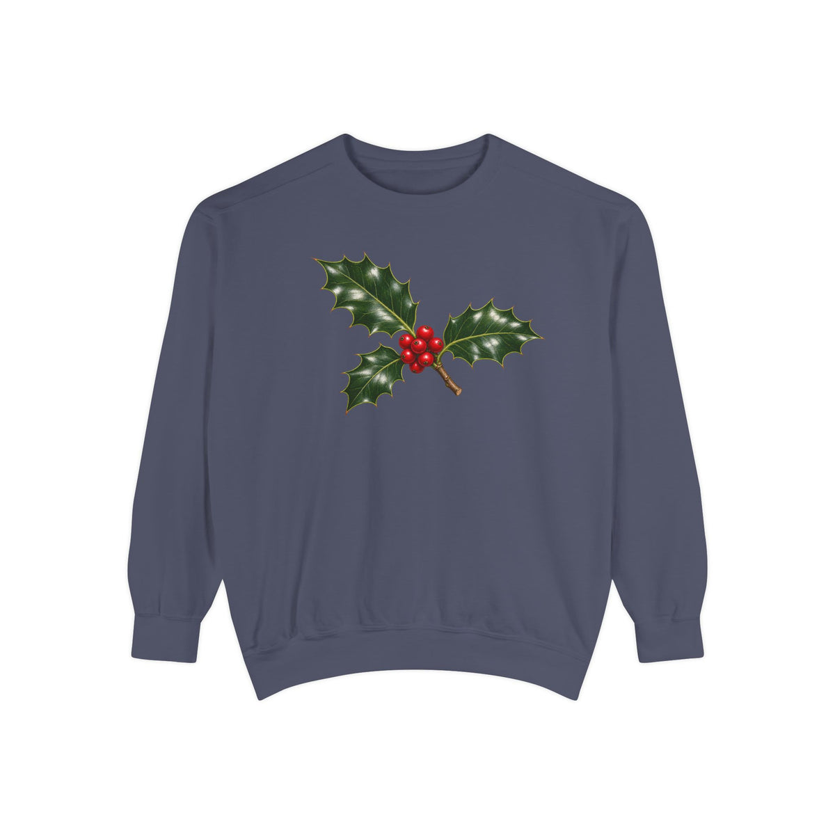Holly sweatshirt in Denim, front view