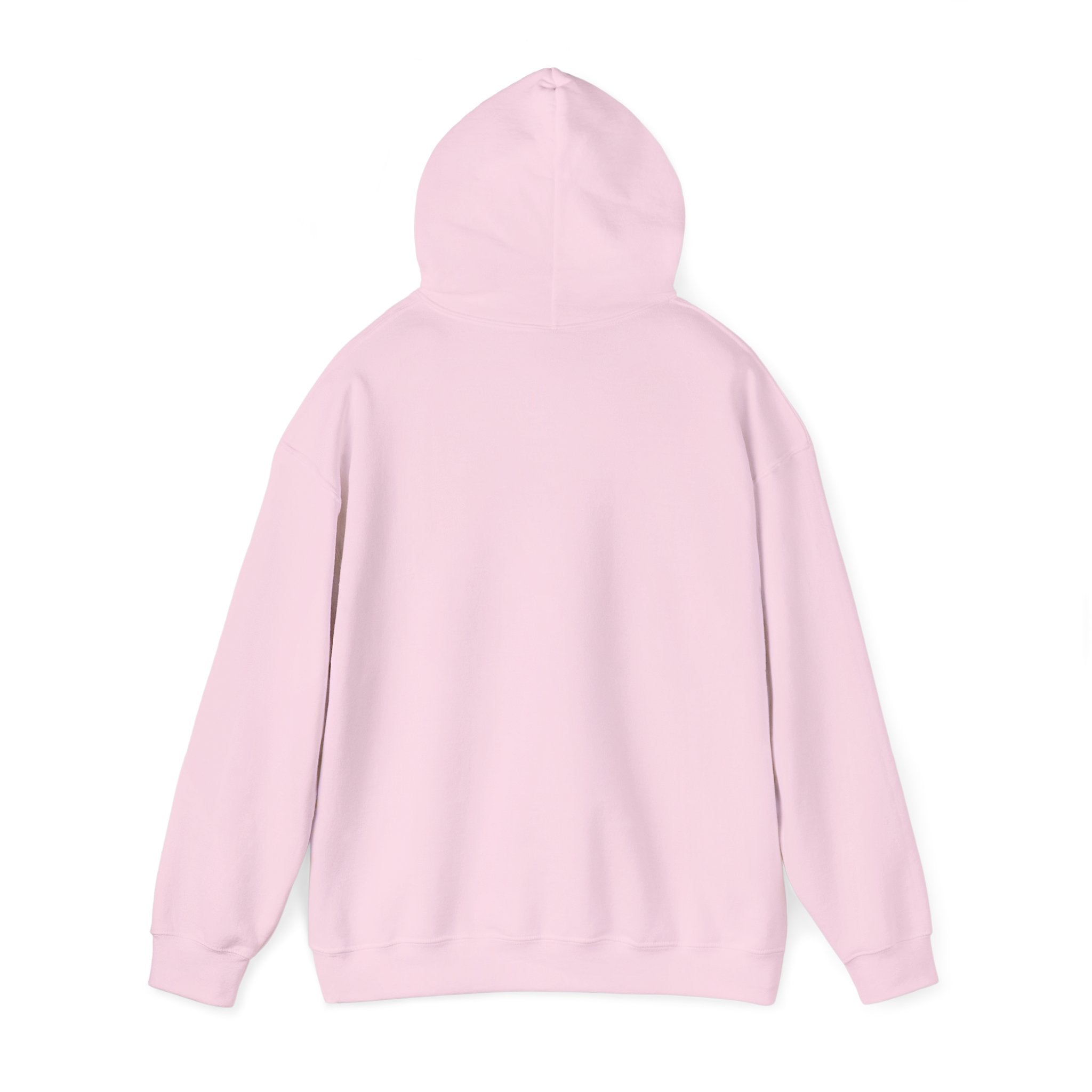 Less Scrolling More Sky Hooded Sweatshirt