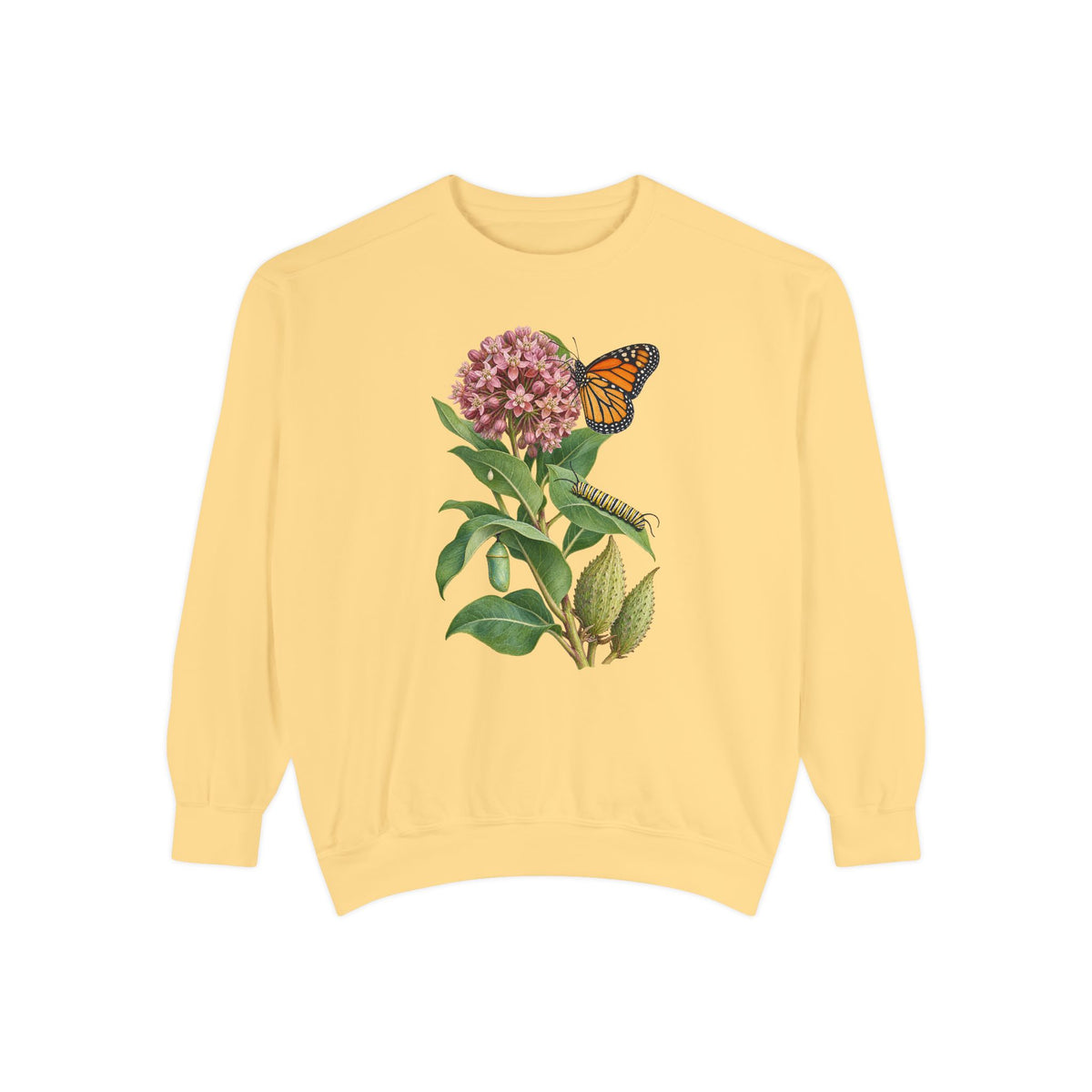 Milkweed and monarch life cycle sweatshirt in Butter, front view