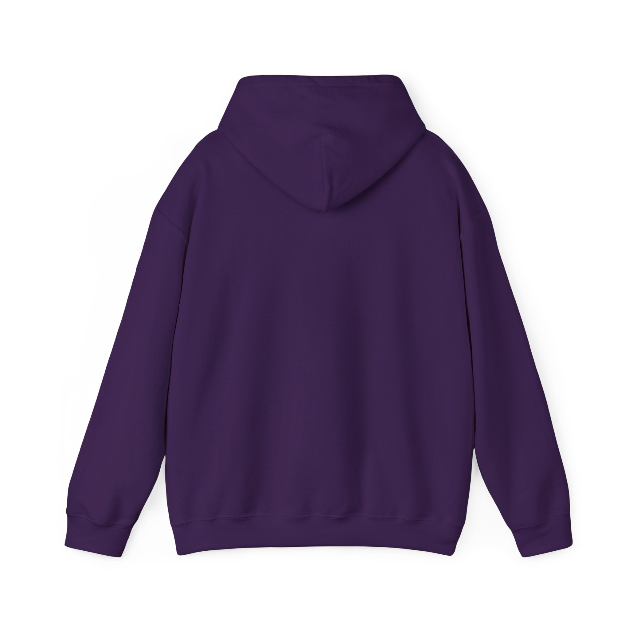 Raised by Mountains Hoodie — Soft Fleece