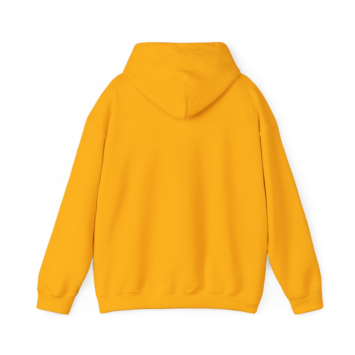 Sunlight Changes Everything Hooded Sweatshirt