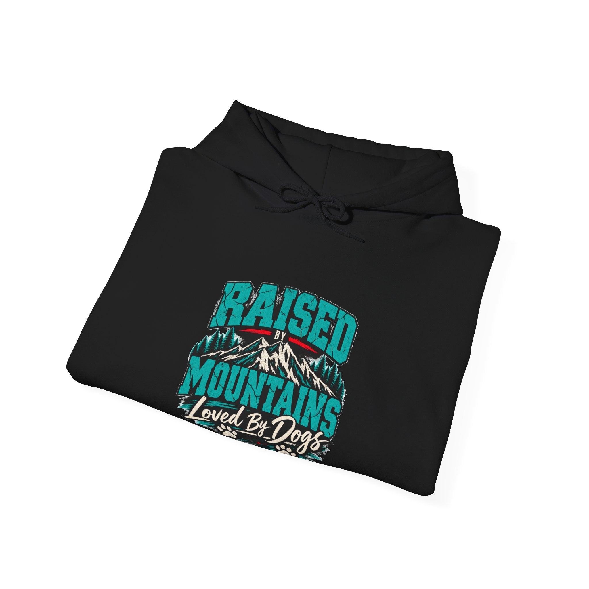 Raised by Mountains Hoodie — Soft Fleece