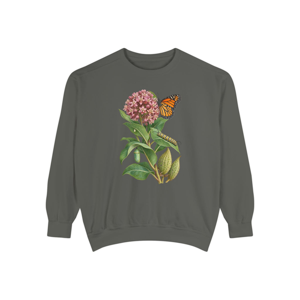 Milkweed and monarch life cycle sweatshirt in Pepper, front view
