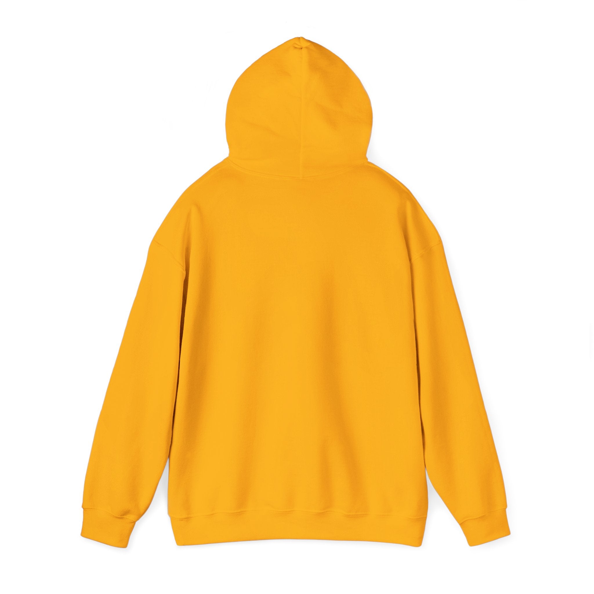 Sunlight Changes Everything Hooded Sweatshirt