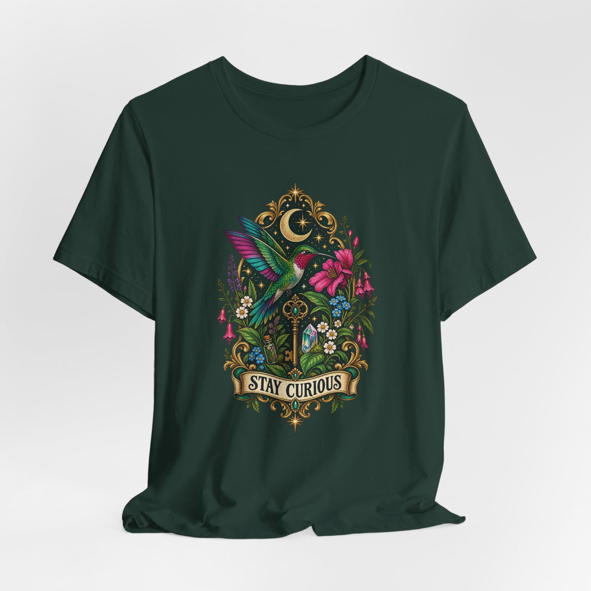 Stay Curious Outdoors T-Shirt
