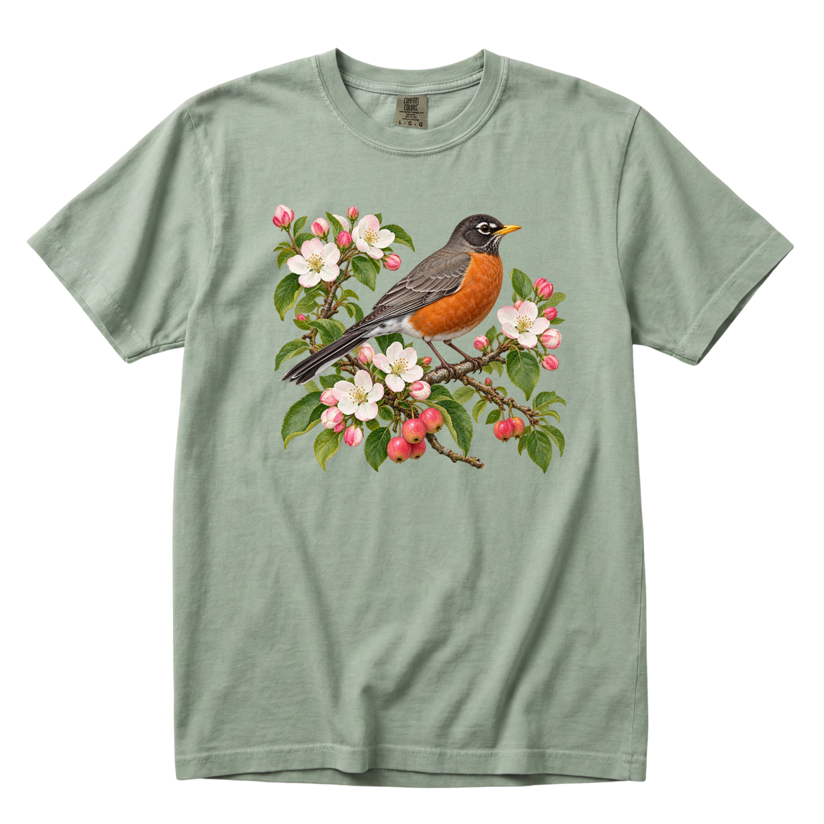 A Song for the New Place robin tee in Bay, a garden robin and blossom print on soft sage green