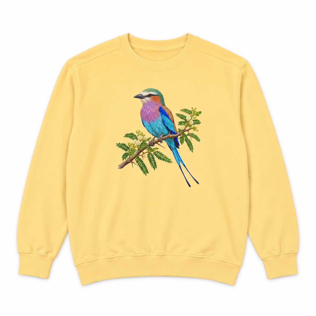 Lilac-Breasted Roller on Acacia sweatshirt in Butter, flat view