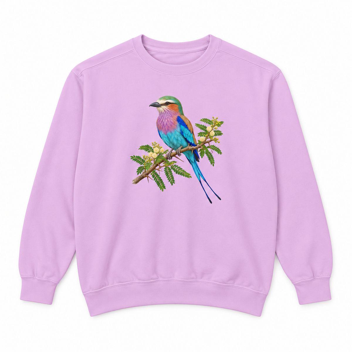Lilac-Breasted Roller on Acacia sweatshirt in Orchid, flat view