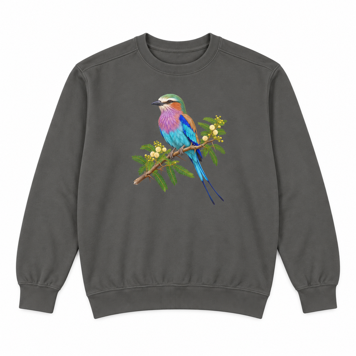 Lilac-Breasted Roller on Acacia sweatshirt in Pepper, flat view