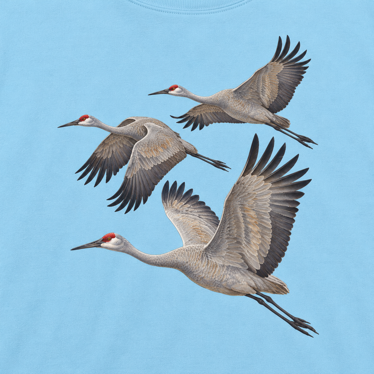 Close-up of the three sandhill cranes in flight print on a Chambray garment-dyed sweatshirt, red crowns and grey plumage, no text