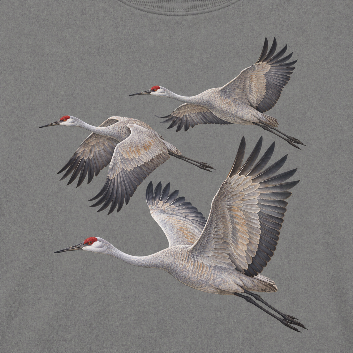 Close-up of the three sandhill cranes in flight print on a Grey garment-dyed sweatshirt, no text