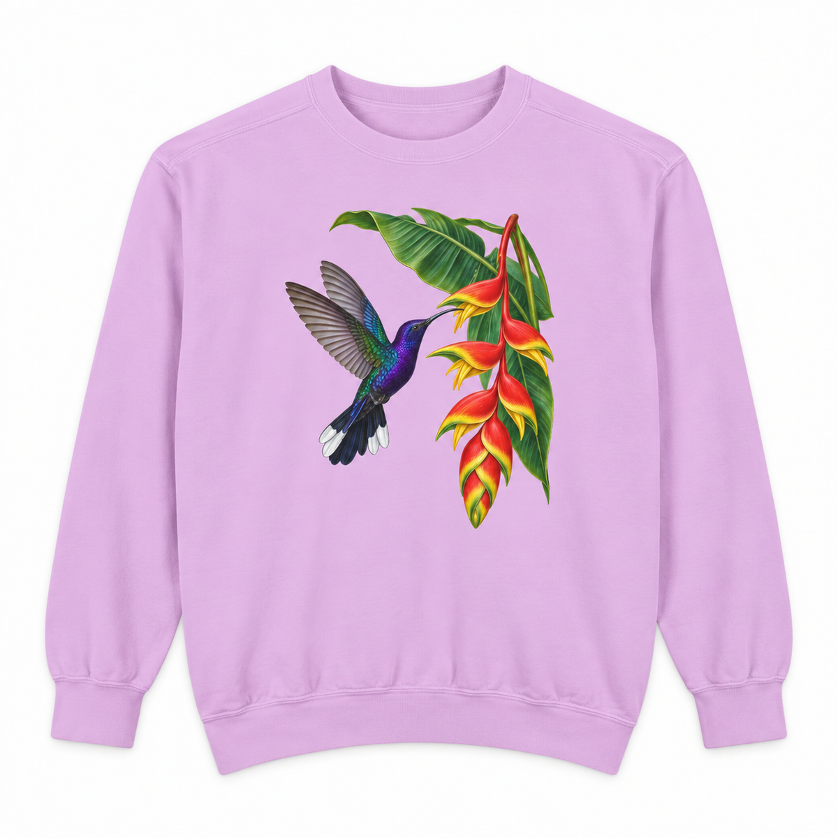 Violet Sabrewing Hummingbird & Heliconia sweatshirt in Orchid, flat view