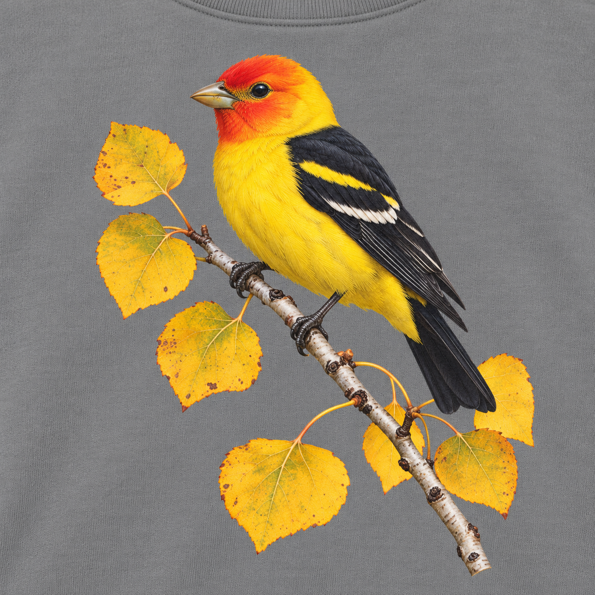 Close-up of the western tanager and golden aspen print on Grey fleece