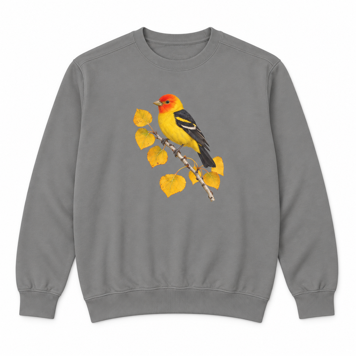 Western Tanager on Golden Aspen sweatshirt in Grey, flat view
